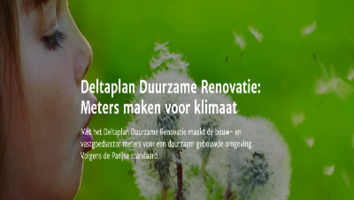 Deltaplan Zorg