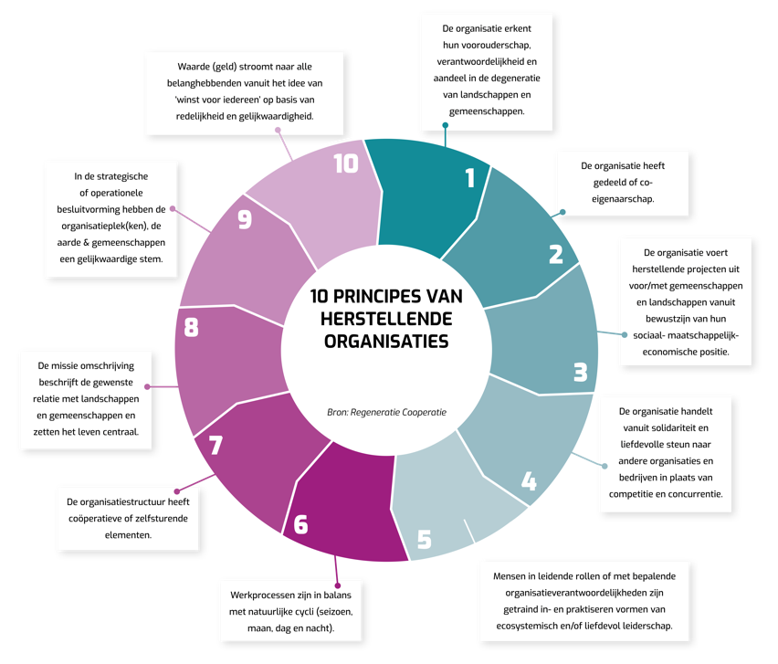 Figuur 3. 10 principes van herstellende organisaties op weg naar regeneratie. Bron: Regeneratieve Coöperatie.